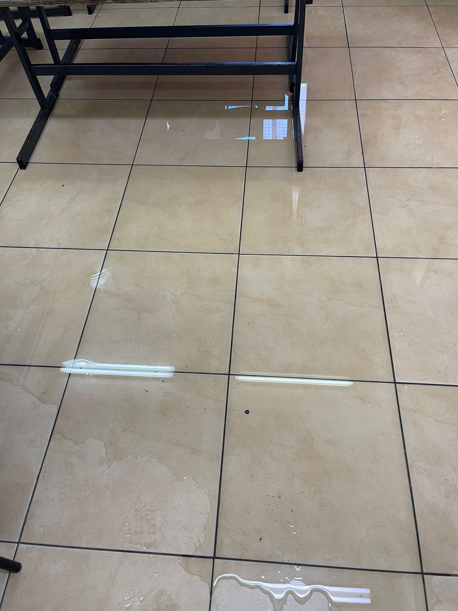 WhatsApp Image 2023-11-20 at 12.15.13.jpeg